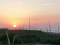 Sunset on Beach-grass-water